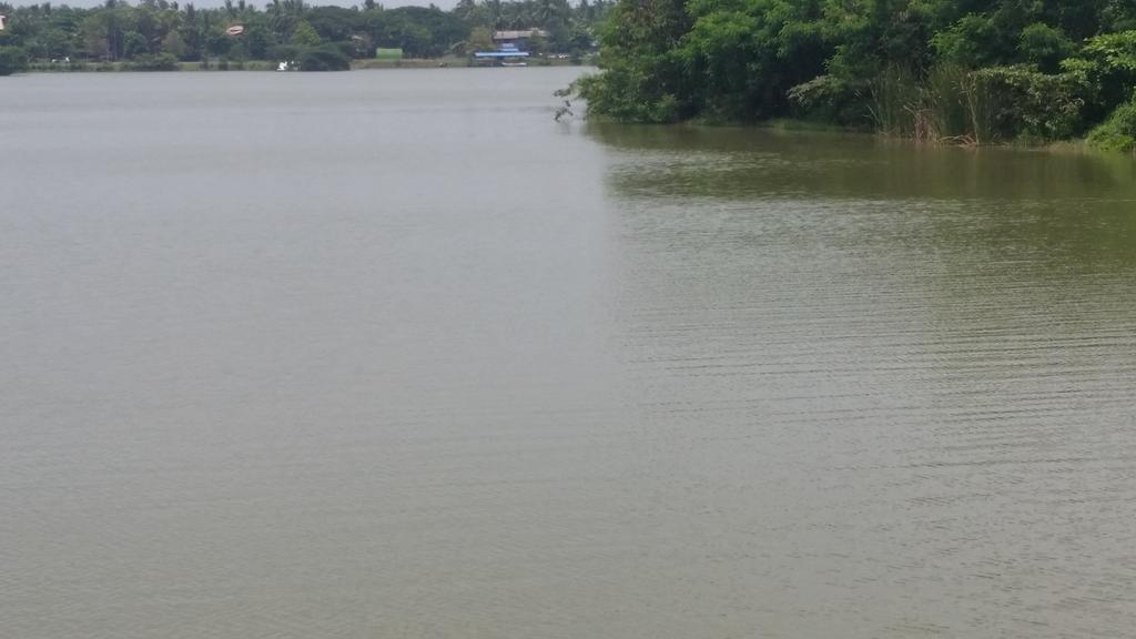 Sunhill Lake Tourist Rest Anuradhapura Esterno foto