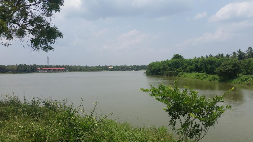 Sunhill Lake Tourist Rest Anuradhapura Esterno foto